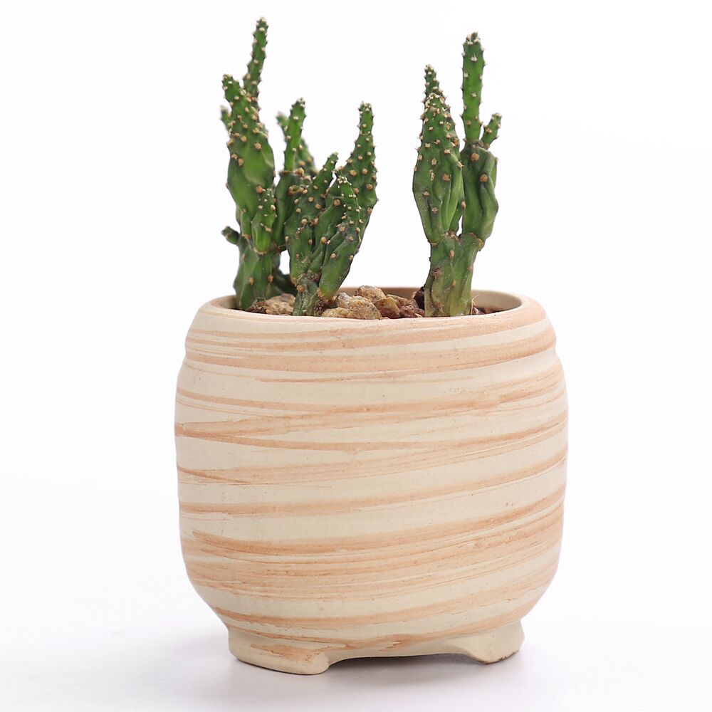 3 inch ceramic flower pots 3 Inch Ceramic Succulent Plant Pot Set