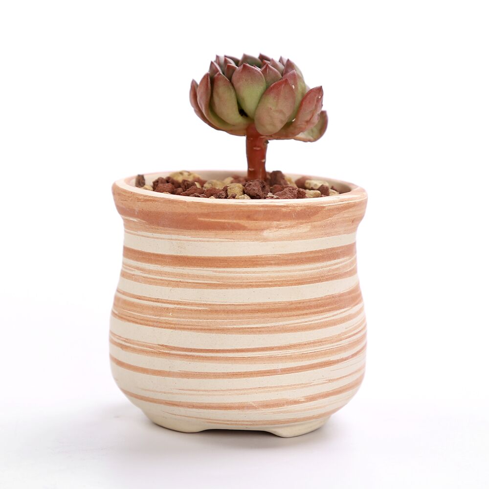 3 inch ceramic flower pots 3 Inch Ceramic Succulent Plant Pot Set