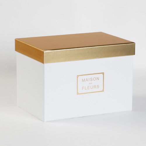 20cm Ivory Square Hat Box Boxes with Gift Compartment - Storage Floris –  Titleys Flowers / Direct Florist Supplies