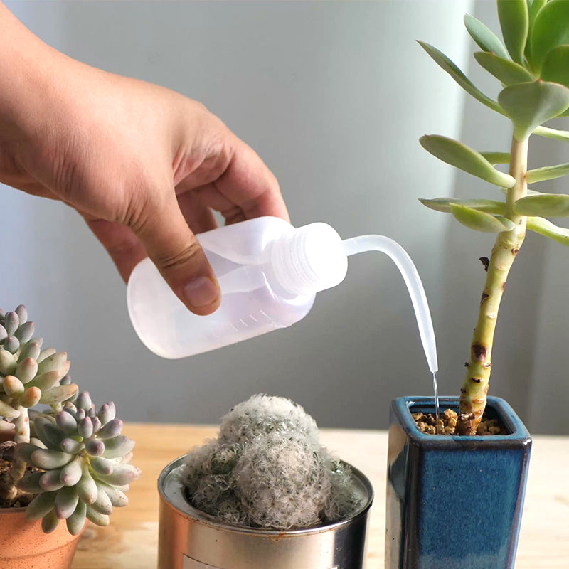 water bottle for succulents Squeeze Watering Bottle with Narrow Mouth Pack 3 – Floral Supplies Store